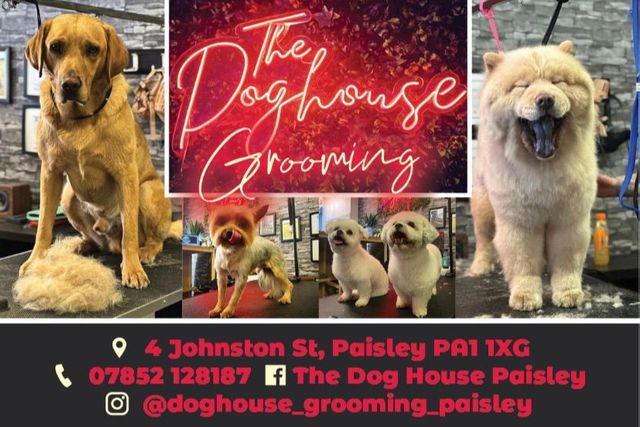 Doghouse Grooming