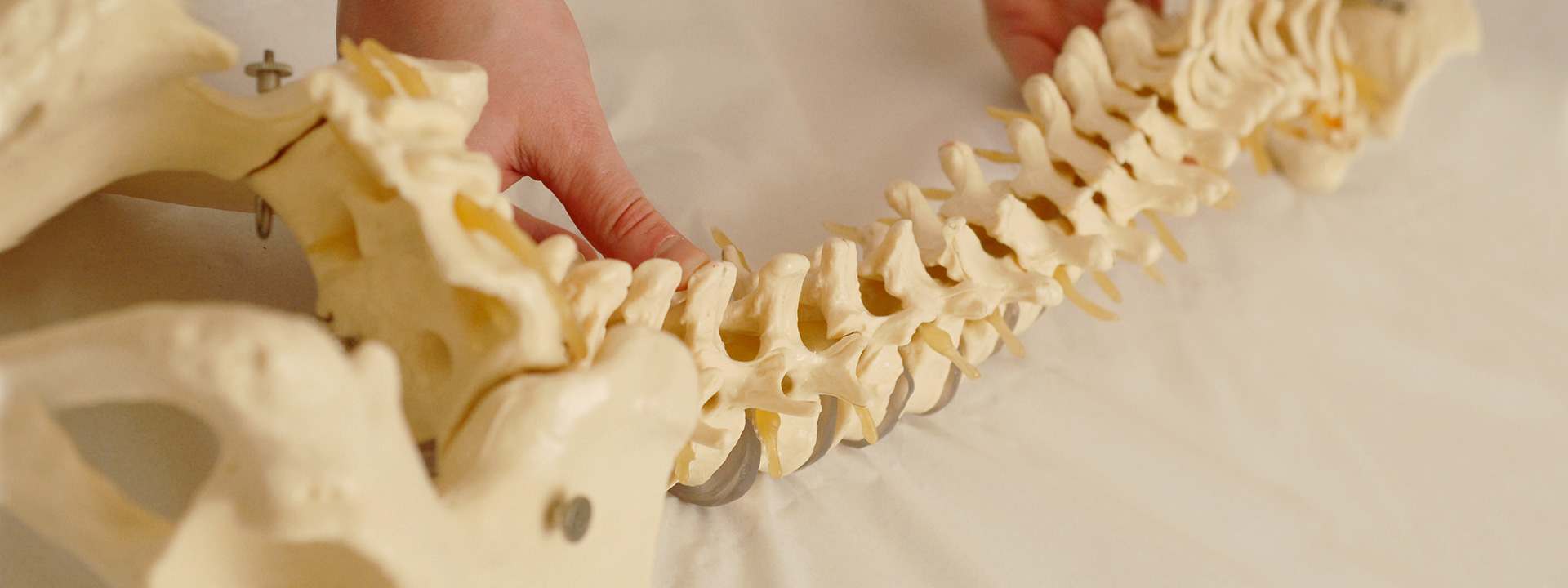 Paisley Osteopathic Clinic